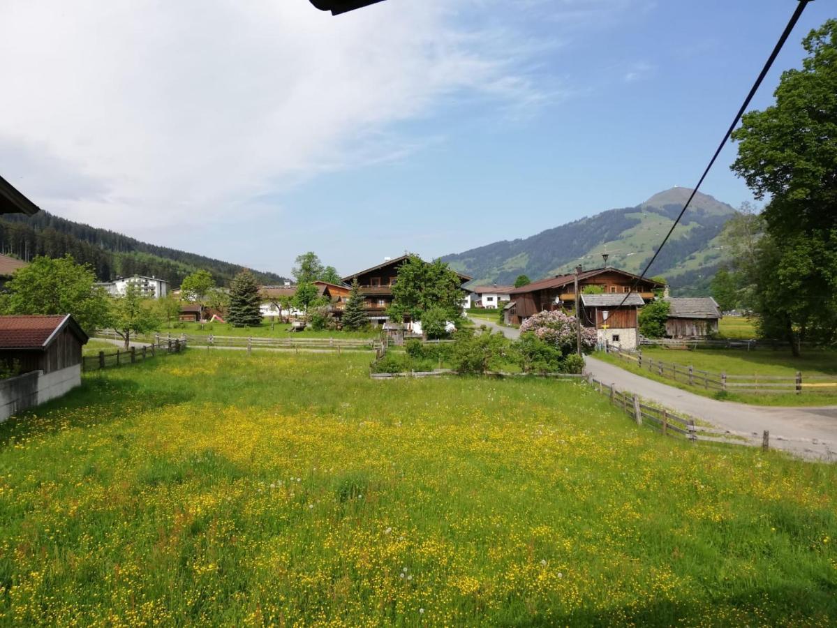 Hébergement de vacances Auerbauer *